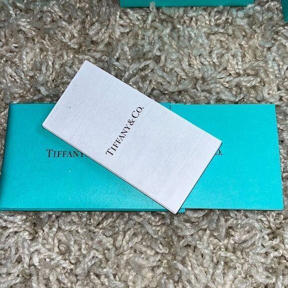 Tiffany & Co. Eyeglass Sunglass Case With Box and Certificate - Picture 11 of 14